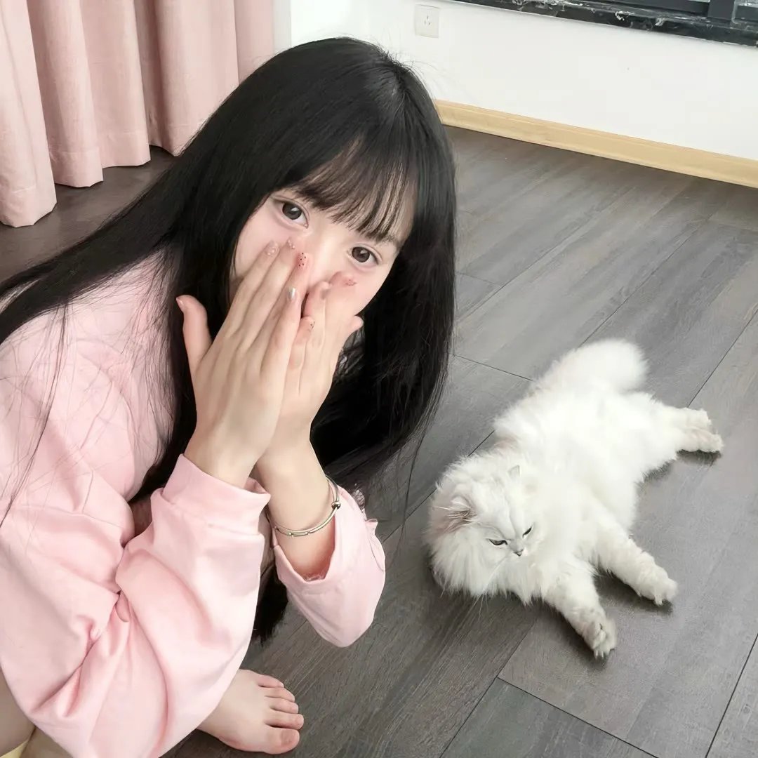 900重案追凶粤语